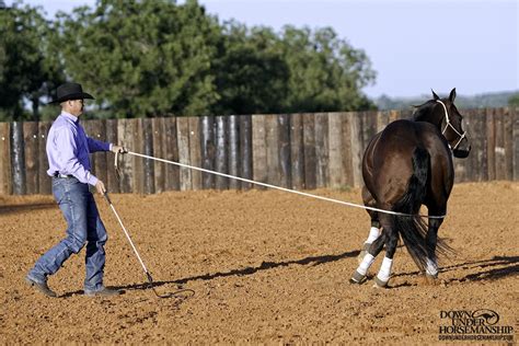 super horse tips.